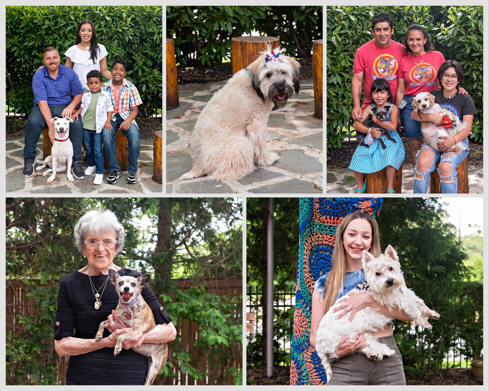 Photo Collage of families and their dogs in the Nature Explorium outdoor area of the Middle Country Public Library