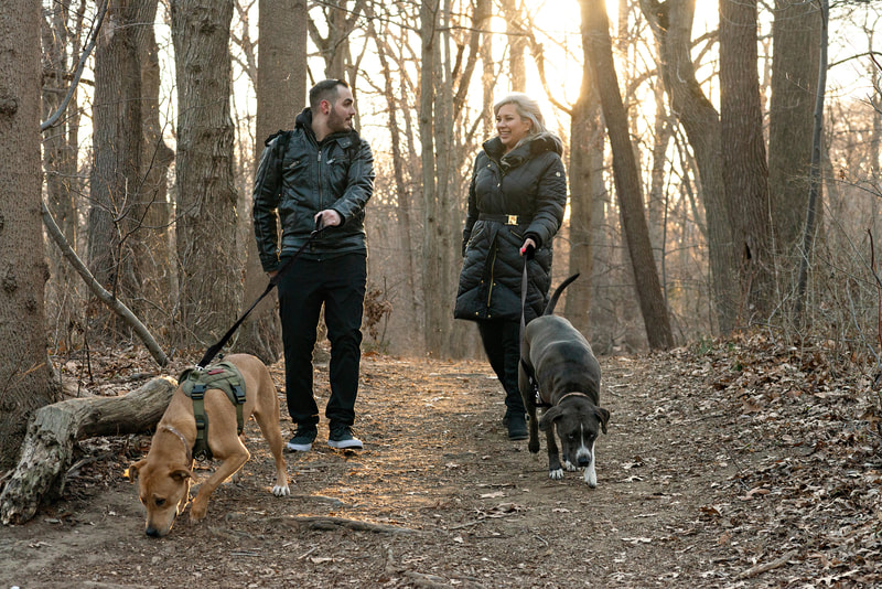 photo of a man and woman walking through the woods with their two dogs, a brown labrador pit bull mix and a grey and white labrador pit bull mix. They are looking at each other smiling. 