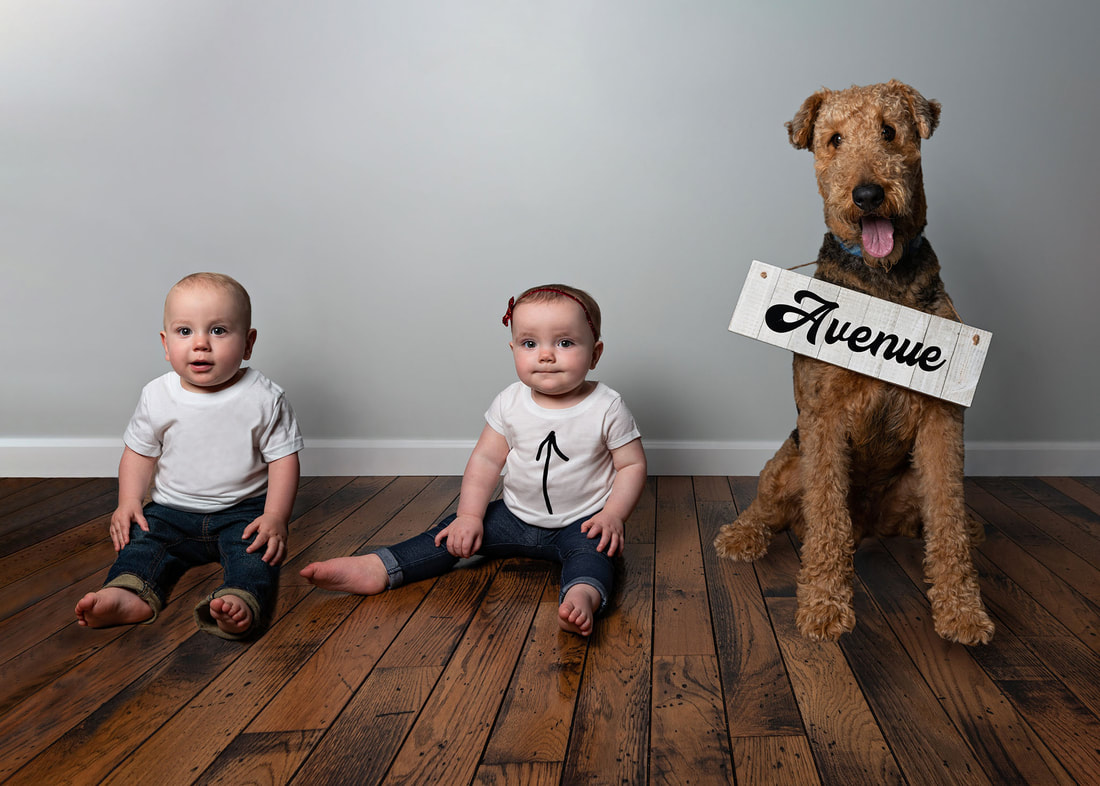 Photo of twin one year old boy and girl with their Airedale Terrier dog for an address change announcement card.